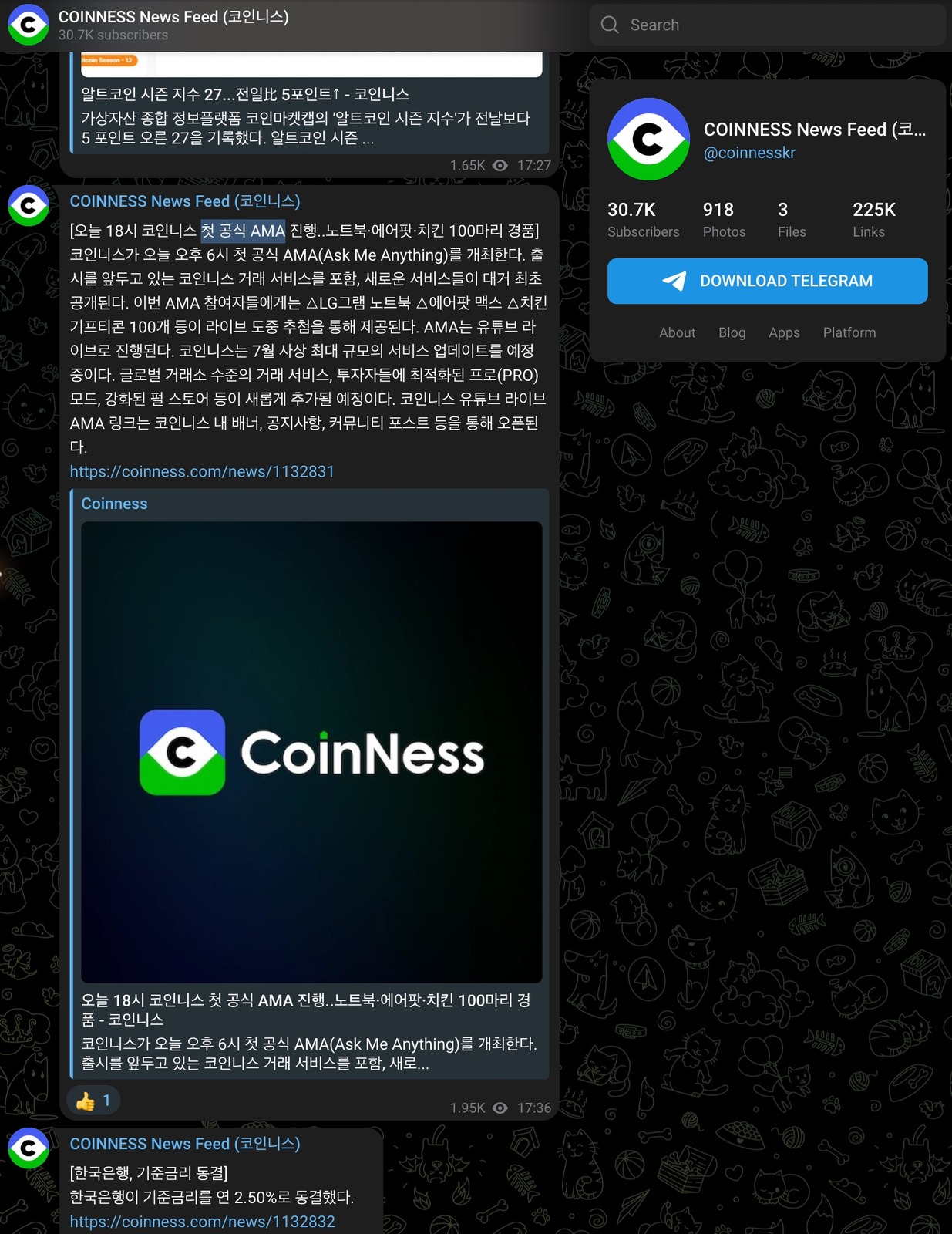 CoinNess public Korean AMA announcement on Telegram
